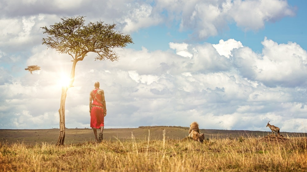 Immerse Yourself in Maasai Culture